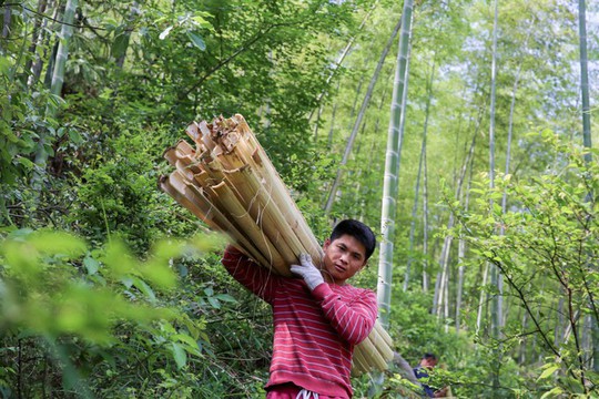 Làng làm giấy thủ công hơn 1.300 năm ở Trung Quốc - Ảnh 2.