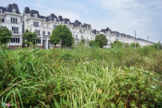 Hàng trăm căn biệt thự hiện đại kiểu Pháp bị bỏ hoang 12 năm - Ảnh 10.