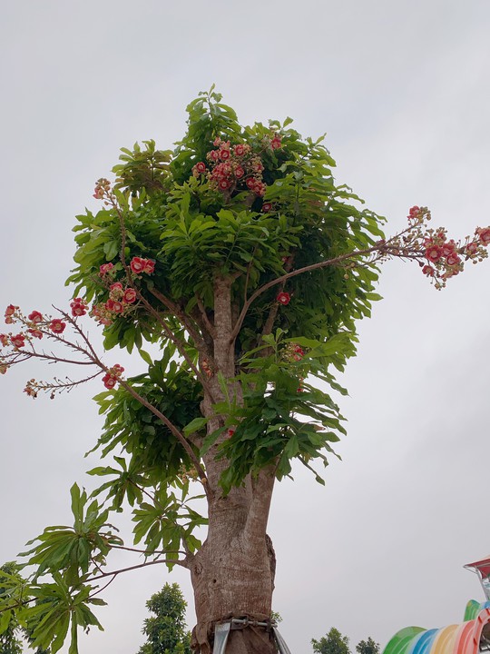 Một ngày trải nghiệm thú vị tại công viên nước Thanh Hà - Ảnh 18.