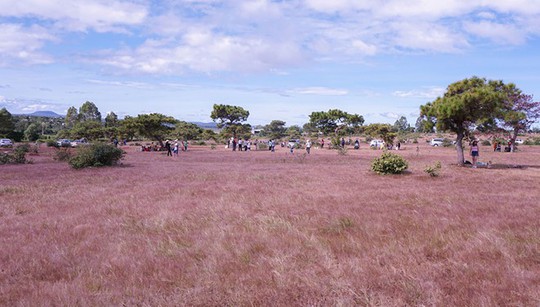 Lãng du ở phố núi - Ảnh 5.