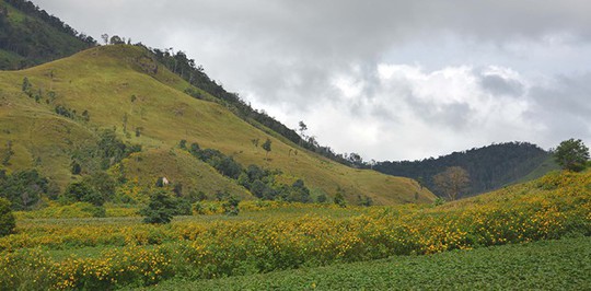 Lãng du ở phố núi - Ảnh 4.