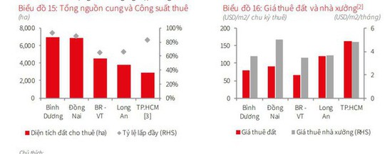 Giá thuê khu công nghiệp phía Nam TP HCM có chiều hướng tăng - Ảnh 1.