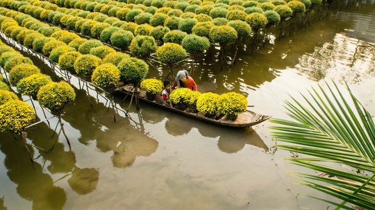 Sa Đéc, từ thủ phủ hoa đến trung tâm đô thị, du lịch trọng điểm của miền Tây - Ảnh 2.