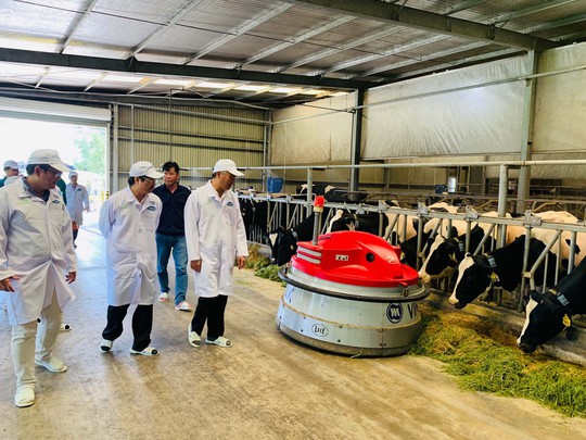 OIE tham gia đánh giá và công nhận vùng chăn nuôi bò sữa an toàn dịch bệnh - Ảnh 2.