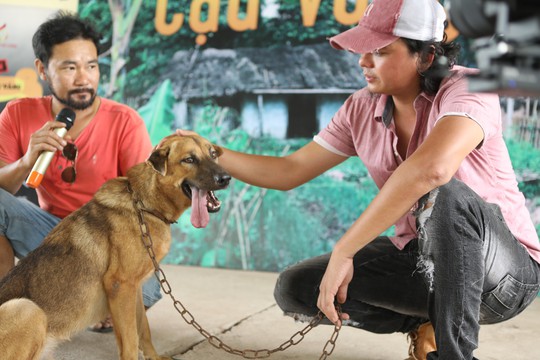 Nhà sản xuất phản hồi tranh cãi chọn chó Nhật vào phim “Cậu Vàng” - Ảnh 3.