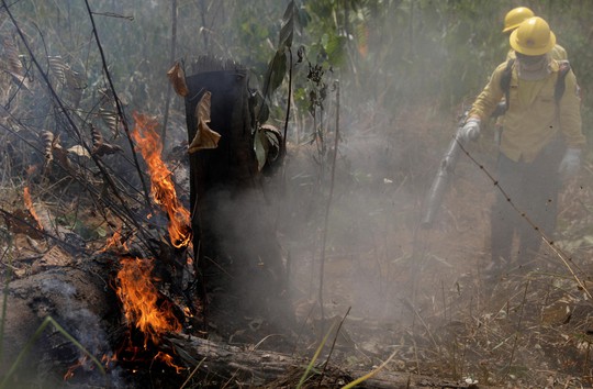 Brazil nói không với tiền viện trợ cứu rừng Amazon của G7 - Ảnh 1.