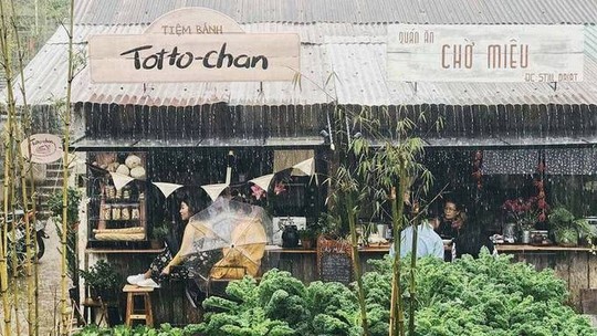 Nhiều điểm nổi tiếng ở Đà Lạt đóng cửa - Ảnh 1.