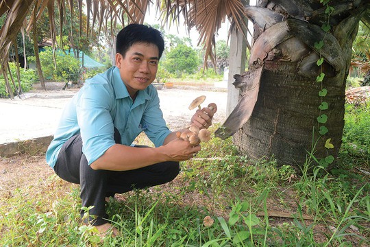 Ngọt lòng nấm mối! - Ảnh 1.