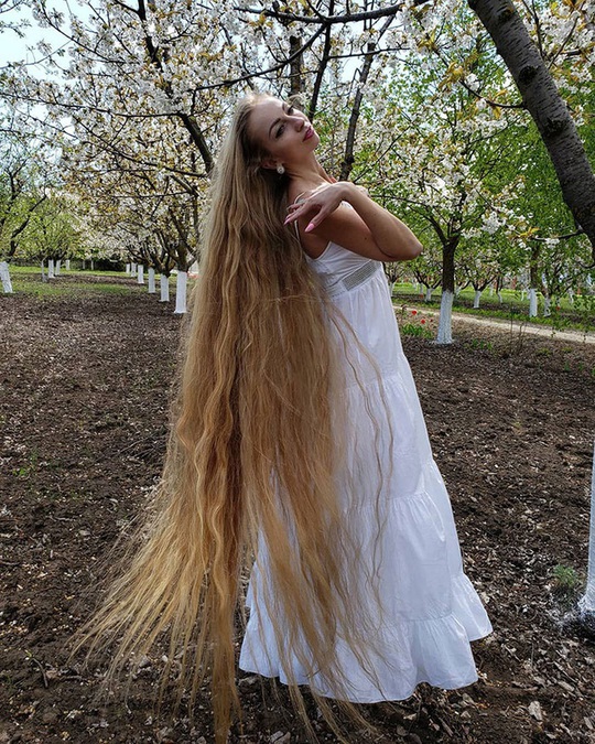 Bí quyết của cô gái nuôi tóc dài gần 2 m trong 30 năm - Ảnh 6.