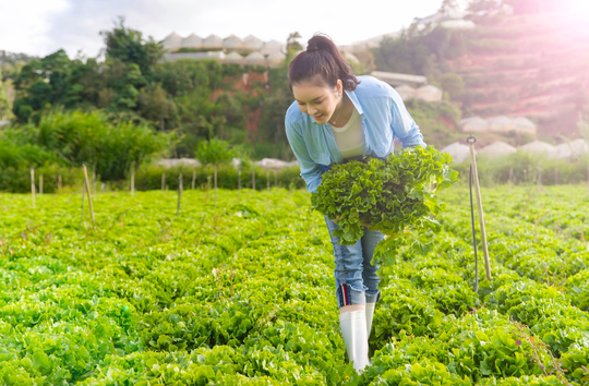 Lý Nhã Kỳ gây bất ngờ với vẻ đẹp giản dị - Ảnh 2.