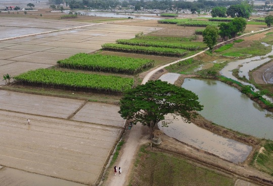 Phim trường Mắt Biếc thành điểm tham quan - Ảnh 1.