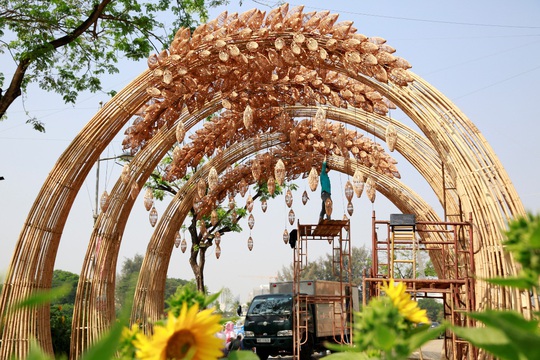 6 bông lúa siêu to tại Đường Xuân Phú Mỹ Hưng - Ảnh 4.