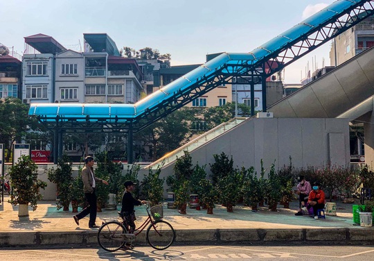 Cận cảnh nhà ga đường sắt Cát Linh - Hà Đông thành chợ cây cảnh - Ảnh 10.