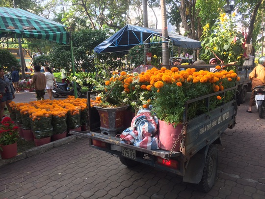 Chen nhau mua hoa giảm giá sáng 30 Tết, hàng chục gốc đào xứ Bắc bị bỏ lại ở chợ hoa - Ảnh 7.
