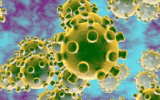 Làm thế nào để du lịch an toàn trong đại dịch virus corona - Ảnh 1.