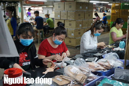 Lương hưu điều chỉnh theo hướng chia sẻ giữa người cao và thấp - Ảnh 1.