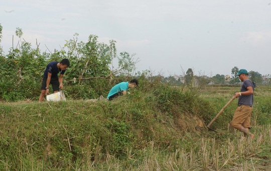 Thịt chuột đồng, lòng vòng giai thoại - Ảnh 2.