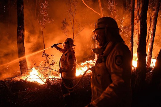 Thần sấm Chris Hemsworth quyên 23 tỉ đồng khắc phục cháy rừng ở Úc - Ảnh 5.