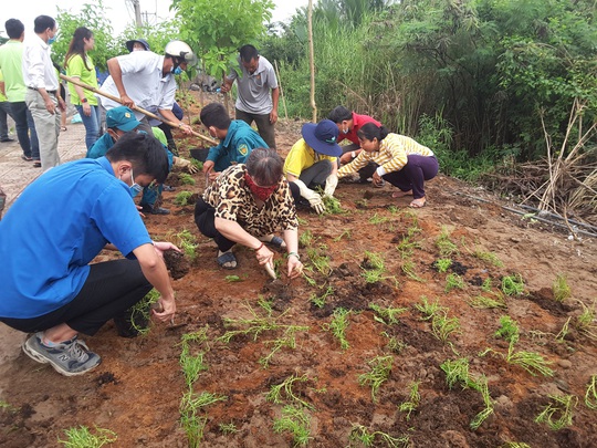 VWS trồng cây xanh và hoa trên đường vào Khu Liên hợp Xử lý chất thải Đa Phước - Ảnh 1.