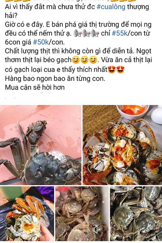 Loại cua “nhà giàu” bán tràn lan chỉ từ 45.000 đồng/con, tiểu thương tiết lộ sự thật - Ảnh 2.