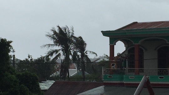 Bão số 9: Thừa Thiên - Huế có gió rất mạnh, cây đổ - Ảnh 6.