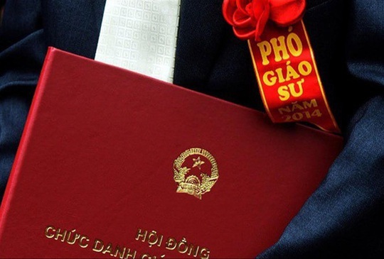 Công bố kết quả rà soát ứng viên giáo sư, phó giáo sư bị nghi ngờ gian dối - Ảnh 1.