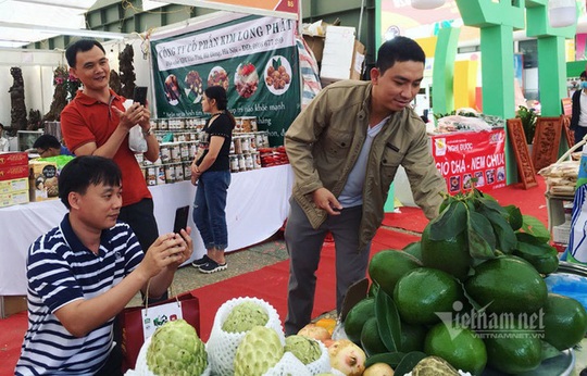 Quả bơ khổng lồ nặng 2 kg, hàng trên núi về gây sốt Hà thành - Ảnh 1.