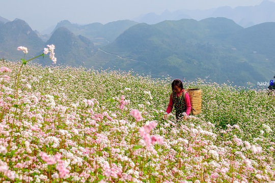 8 điểm check-in Hà Giang dịp cuối năm - Ảnh 4.