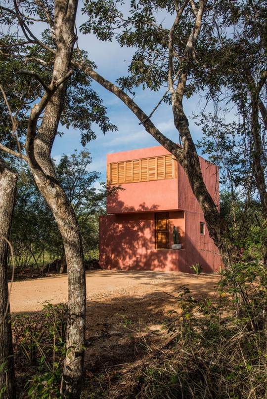 Ngôi nhà hòa mình vào thiên nhiên hoang dã ở Mexico - Ảnh 2.