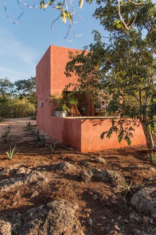 Ngôi nhà hòa mình vào thiên nhiên hoang dã ở Mexico - Ảnh 12.