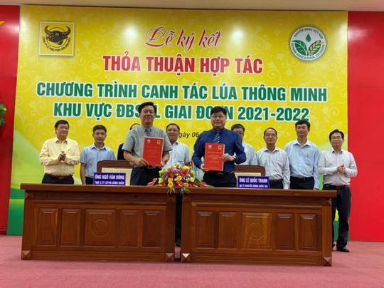 Bình Điền và Khuyến nông Quốc gia hợp tác canh tác lúa thông minh - Ảnh 1.