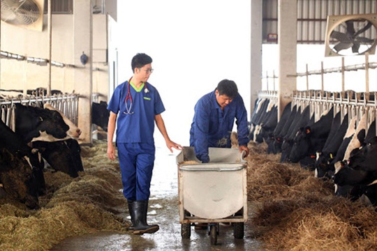 Đài Loan mở thêm 7 nghề cho lao động nước ngoài - Ảnh 1.