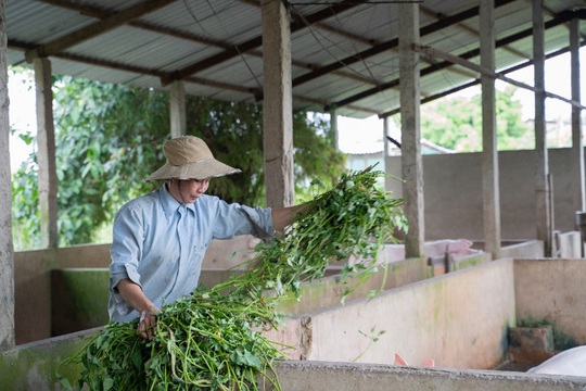 GREENFEED cùng “Tiếp Sức Nhà Nông” trao nguồn sức mạnh đến phụ nữ nông thôn - Ảnh 2.