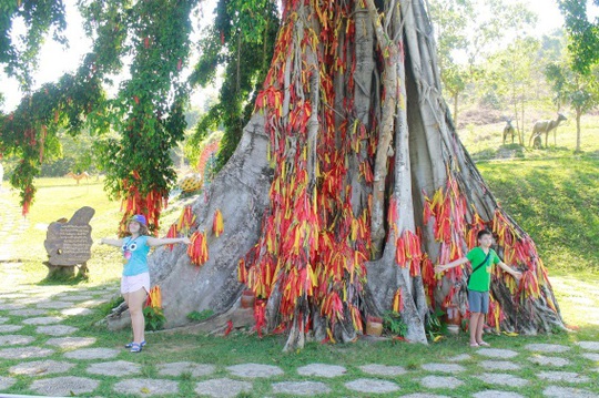 Công viên Du lịch Yang Bay – Thế giới kỳ thú dành cho các em nhỏ - Ảnh 3.