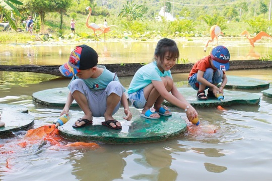 Công viên Du lịch Yang Bay – Thế giới kỳ thú dành cho các em nhỏ - Ảnh 5.