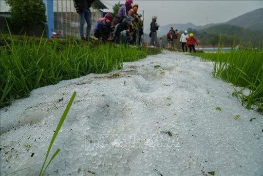 Mưa đá rơi trắng như tuyết tại Điện Biên - Ảnh 2.