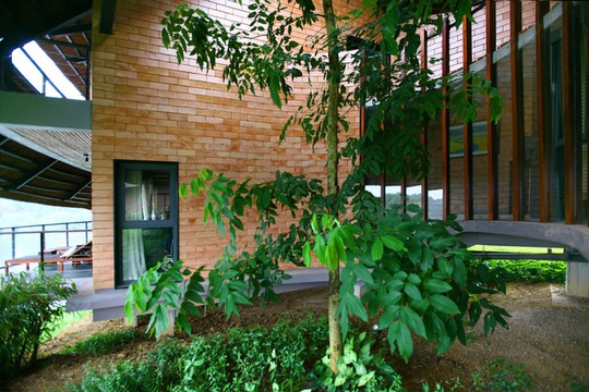 Ngôi nhà hình chiếc lá giữa rừng cây ở ngoại thành Hà Nội - Ảnh 7.