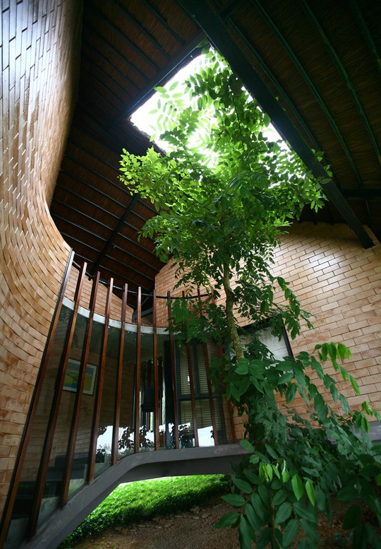 Ngôi nhà hình chiếc lá giữa rừng cây ở ngoại thành Hà Nội - Ảnh 8.