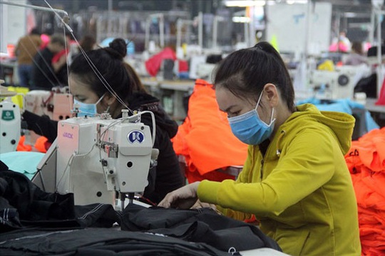 Bình Định: Giải quyết cho 1.160 lao động tạm thời dừng đóng BHXH - Ảnh 1.