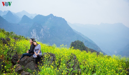 Những mùa hoa trên cao nguyên đá Hà Giang - Ảnh 8.