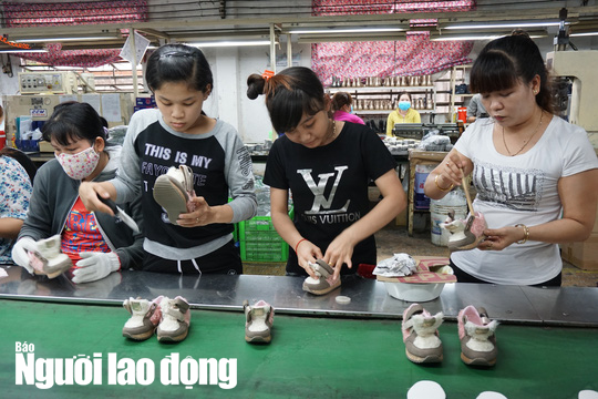 Lộ trình đề xuất điều chỉnh tuổi nghỉ hưu của người lao động - Ảnh 1.