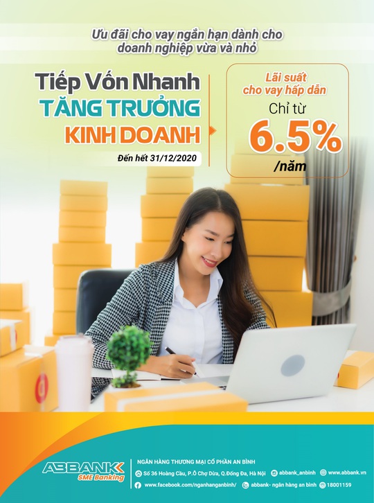 Kịp thời tiếp vốn hỗ trợ doanh nghiệp SME tăng trưởng kinh doanh - Ảnh 2.