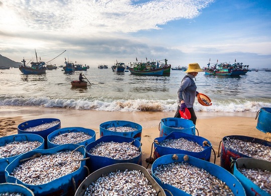 Những làng chài đẹp như tranh vẽ ở Quy Nhơn - Ảnh 6.