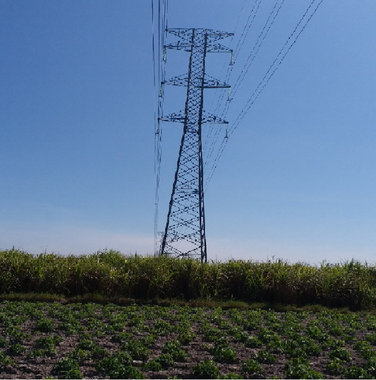Đảm bảo an toàn tuyệt đối cho lưới điện miền Nam mùa khô năm 2020 - Ảnh 1.