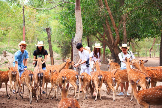 Đảo Hoa Lan - thiên đường du lịch bí ẩn tại Nha Trang - Ảnh 7.