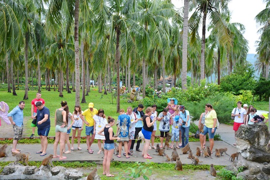 Từ ngày 1-6, Khu du lịch Đảo Khỉ và Đảo Hoa Lan đón khách trở lại - Ảnh 8.