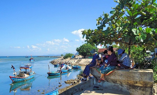 Mùa săn nhum ở gành đá Châu Me - Ảnh 7.