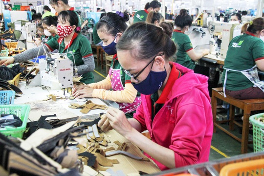 Tín hiệu khởi sắc từ thị trường lao động Đà Nẵng - Ảnh 1.