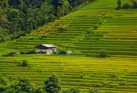 Cuối tuần đi trốn ở thung lũng Nậm Cang - Ảnh 11.