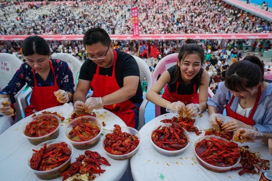 Nông dân Trung Quốc trả giá đắt khi “nhường” ruộng cho tôm hùm đất - Ảnh 1.